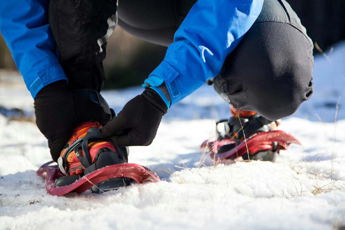 Itinerari ideali per escursioni con racchette da neve in ambienti incontaminati