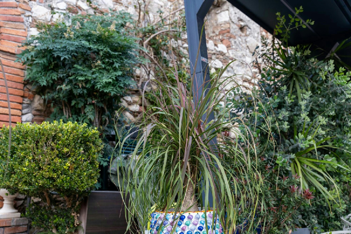 Il metodo semplice per proteggere le piante dal vento forte senza sforzi o spese inutili