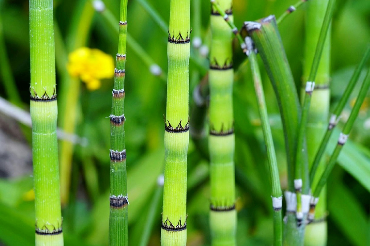 Regala a Natale cofanetti sostenibili: eleganza e stile senza spendere troppo