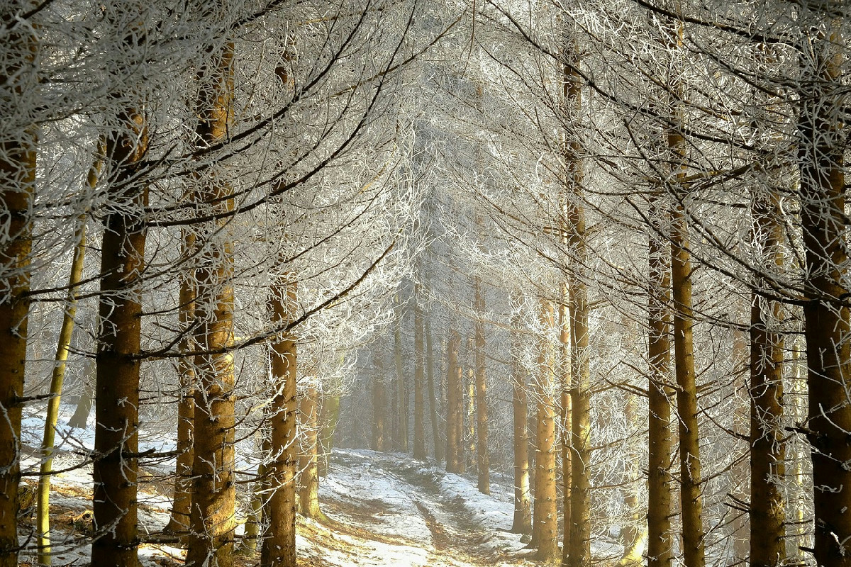 In Italia si estende il sentiero più lungo del mondo tra paesaggi unici e quiete assoluta