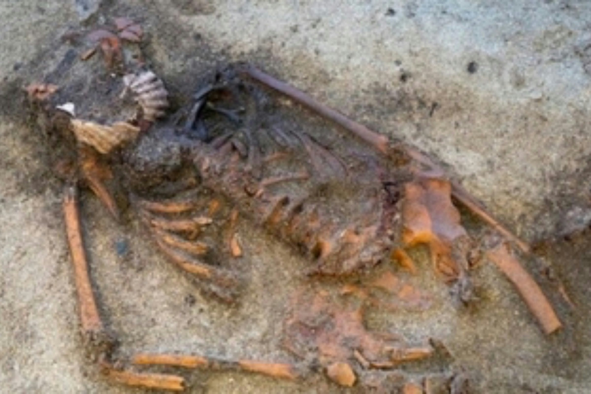 Una scoperta in Marocco cambia la storia dell’Homo Sapiens con resti umani antichi mai visti