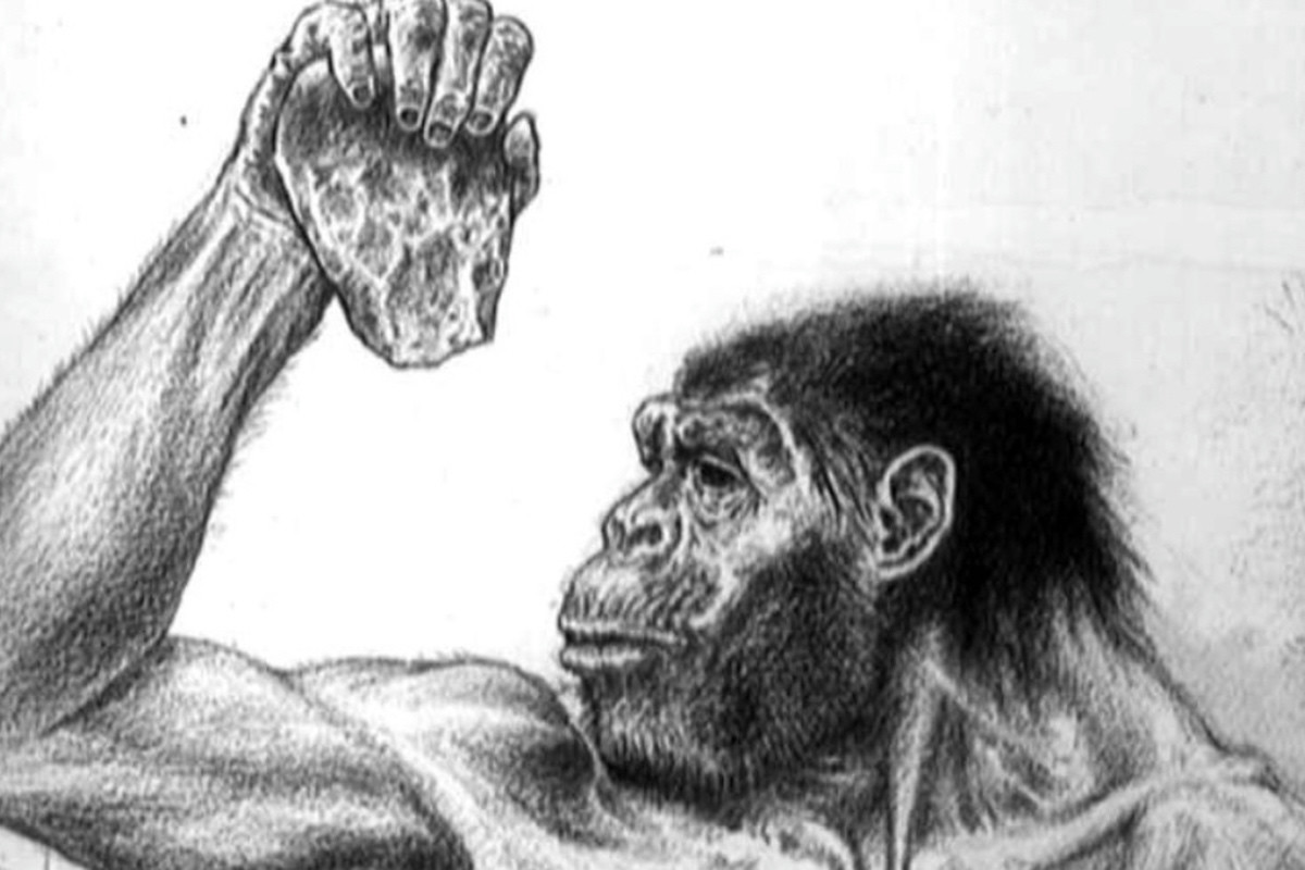 Una scoperta in Marocco cambia la storia dell’Homo Sapiens con resti umani antichi mai visti